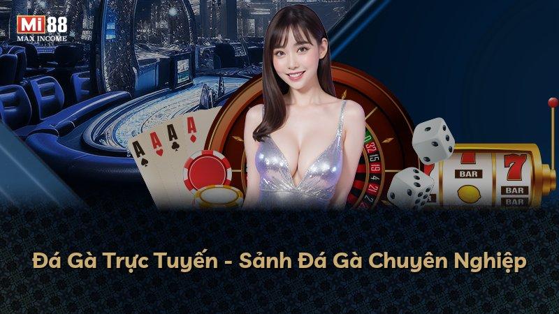 Đá Gà Trực Tuyến - Sảnh Đá Gà Chuyên Nghiệp