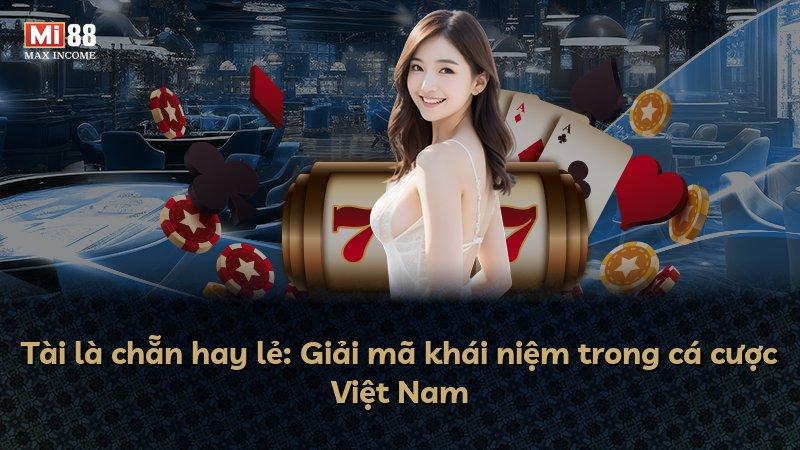 Tài là chẵn hay lẻ: Giải mã khái niệm trong cá cược Việt Nam