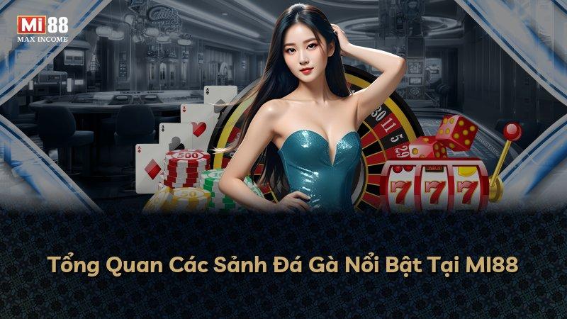 Tổng Quan Các Sảnh Đá Gà Nổi Bật Tại MI88